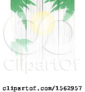 Poster, Art Print Of White Wood Background With A Sun And Palm Trees