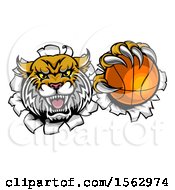 Poster, Art Print Of Vicious Wildcat Mascot Breaking Through A Wall With A Basketball