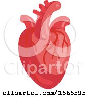 Poster, Art Print Of Human Heart