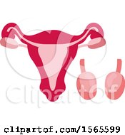 Clipart Of A Human Uterus Royalty Free Vector Illustration