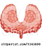 Clipart Of A Human Thyroid Royalty Free Vector Illustration