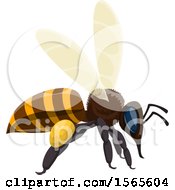 Clipart Of A Honey Bee Royalty Free Vector Illustration by Vector Tradition SM