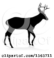 Poster, Art Print Of Black Silhouetted Deer Stag Buck With A Shadow On A White Background