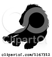 Clipart Of A Silhouetted Male Lion With A Reflection Or Shadow Royalty Free Vector Illustration