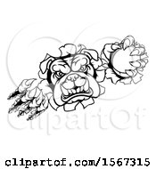 Poster, Art Print Of Black And White Bulldog Monster Shredding Through A Wall With A Cricket Ball In One Hand