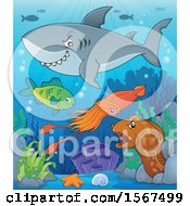 Poster, Art Print Of Grinning Shark Over Other Sea Creatures