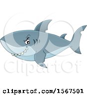 Poster, Art Print Of Grinning Shark