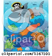 Poster, Art Print Of Pirate Shark Wearing A Hat Belt And Sword Over Other Animals