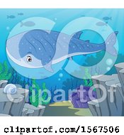 Poster, Art Print Of Swimming Whale Shark