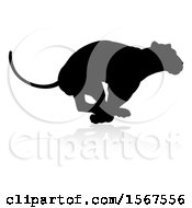Poster, Art Print Of Silhouetted Lioness Running With A Shadow On A White Background