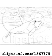 Poster, Art Print Of Lineart Killer Whale Orca Swimming In The Ocean