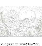 Clipart Of A Lineart Blue Spotted Stingray On A Coral Reef Royalty Free Vector Illustration by Alex Bannykh