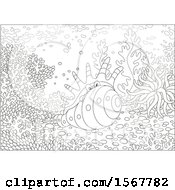 Poster, Art Print Of Lineart Crab In A Conch Shell