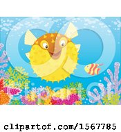 Poster, Art Print Of Blowfish And Small Fish At A Coral Reef