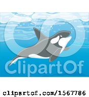 Clipart Of A Killer Whale Orca Swimming In The Ocean Royalty Free Vector Illustration by Alex Bannykh