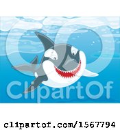 Clipart Of A Killer Whale Orca Swimming In The Ocean Royalty Free Vector Illustration