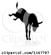 Poster, Art Print Of Black Silhouetted Donkey Bucking With A Reflection Or Shadow On A White Background