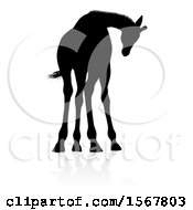Poster, Art Print Of Silhouetted Giraffe With A Reflection Or Shadow