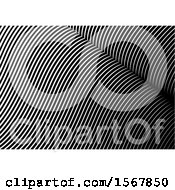 Poster, Art Print Of Black And White Background