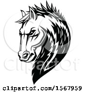 Poster, Art Print Of Black And White Tough Stallion