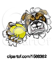 Poster, Art Print Of Tough Bulldog Monster Sports Mascot Holding Out A Tennis Ball In One Clawed Paw And Breaking Through A Wall