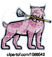 Tough Bobcat Lynx Sports Mascot Holding A Lacrosse Stick In Its Mouth