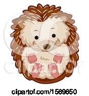 Poster, Art Print Of Cute Curled Up Hedgehog