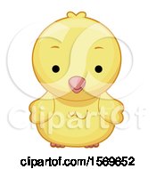 Poster, Art Print Of Cute Yellow Chick