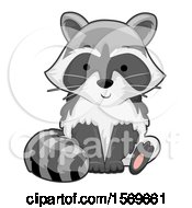 Poster, Art Print Of Cute Sitting Raccoon