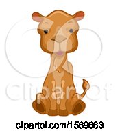 Cute Sitting Camel