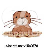 Poster, Art Print Of Cute Gopher Emerging From A Hole