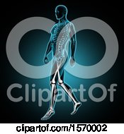 Poster, Art Print Of 3d Xray Man With Leg Bones Highlighted On Blue And Black