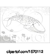 Poster, Art Print Of Lineart Blue Whale Swimming With Fish
