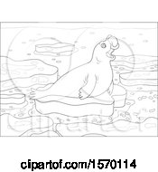 Poster, Art Print Of Lineart Cute Elephant Seal On An Ice Floe