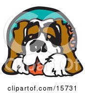 Friendly Saint Bernard Dog Clipart Illustration