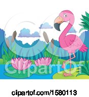Poster, Art Print Of Pink Flamingo Bird On A Beach