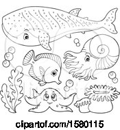 Clipart Of Black And White Cute Sea Creatures Royalty Free Vector Illustration