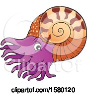 Cute Nautilus