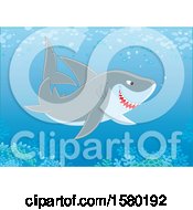 Poster, Art Print Of Shark Swimming Over A Reef