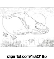 Poster, Art Print Of Lineart Humpback Whale Swimming With Fish Over A Reef