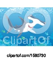 Poster, Art Print Of Swimming Hammerhead Shark Over A Reef