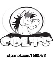 Clipart Of A Black And White Horse Mascot Over Colts Text Royalty Free Vector Illustration by Johnny Sajem
