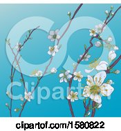 Poster, Art Print Of Background Of Branches With Spring Blossoms Over Blue Sky