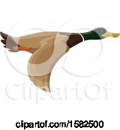 Clipart Of A Flying Mallard Duck Royalty Free Vector Illustration by Vector Tradition SM