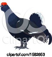 Clipart Of A Black Grouse Bird Royalty Free Vector Illustration