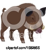 Poster, Art Print Of Wild Boar