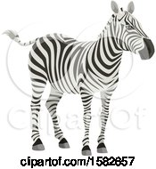 Poster, Art Print Of Zebra
