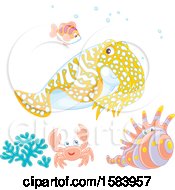 Poster, Art Print Of Group Of Sea Creatures