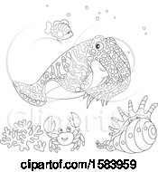 Clipart Of A Lineart Group Of Sea Creatures Royalty Free Vector Illustration