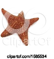 Poster, Art Print Of 3d Starfish On A White Background